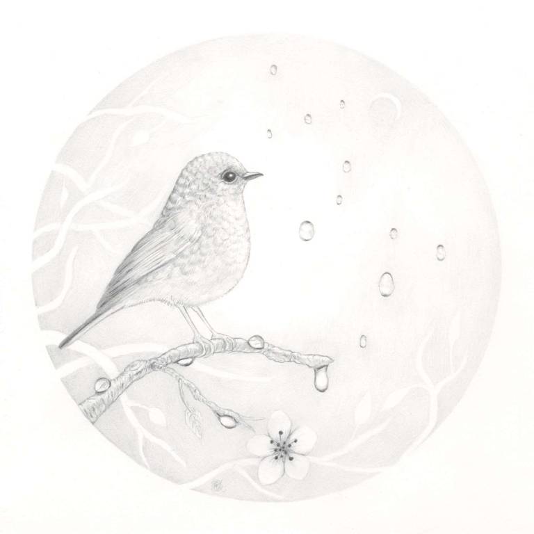 Little Bird 1 - Dawn Kay