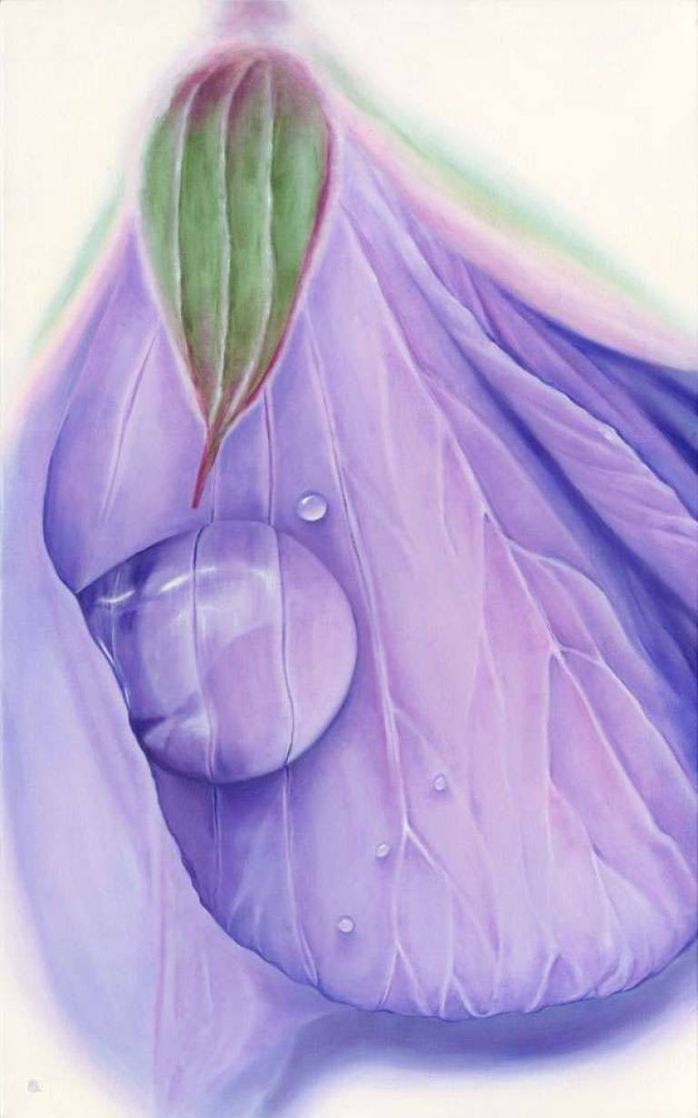 Purple Geranium - Dawn Kay