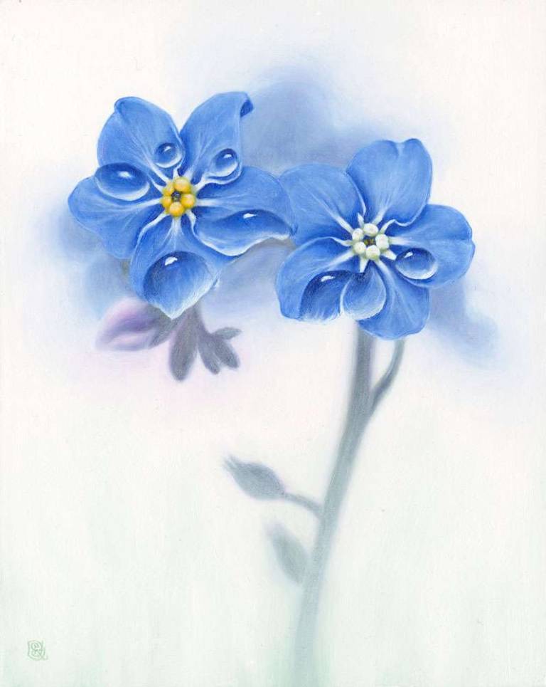 Forget-me-not - Dawn Kay