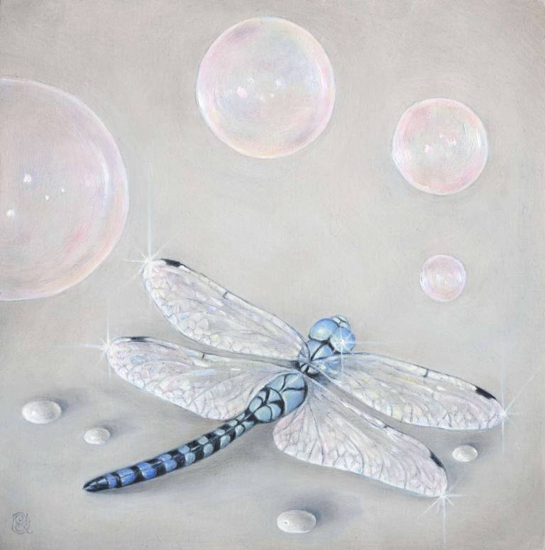 Dragonfly & Bubbles - Dawn Kay