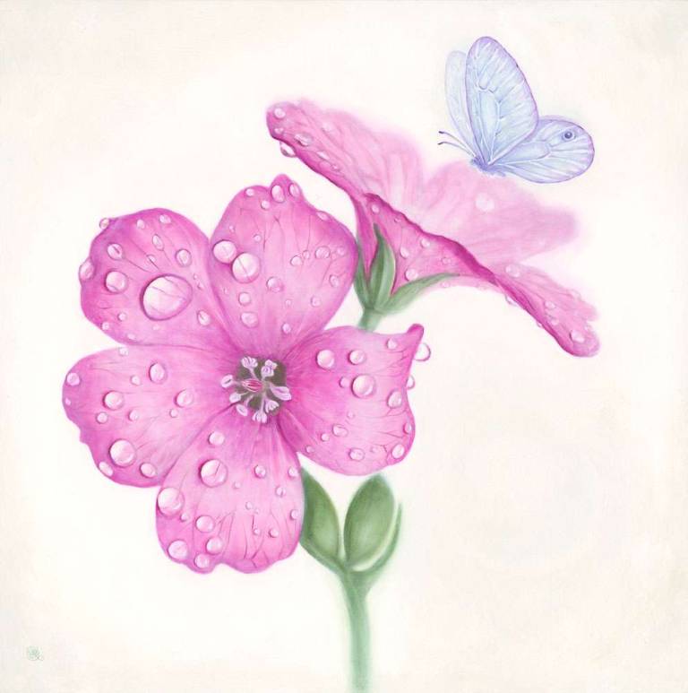 Pink Sorrel & Butterfly - Dawn Kay