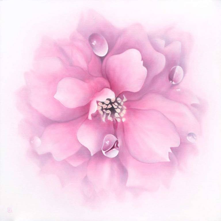 Cherry Blossom - Dawn Kay