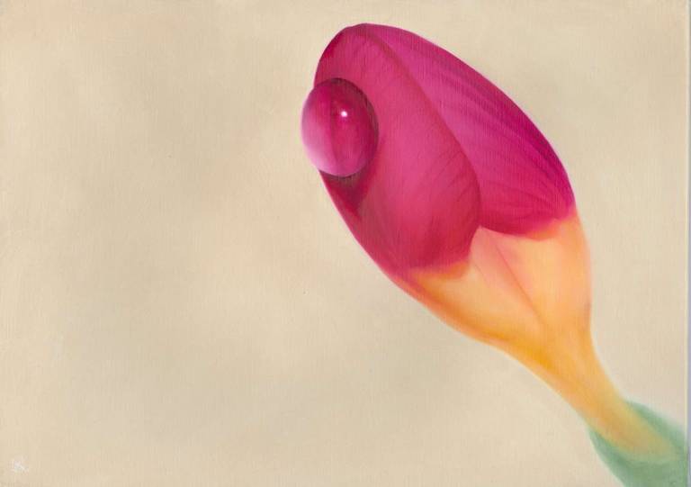 Red Freesia Bud - Dawn Kay