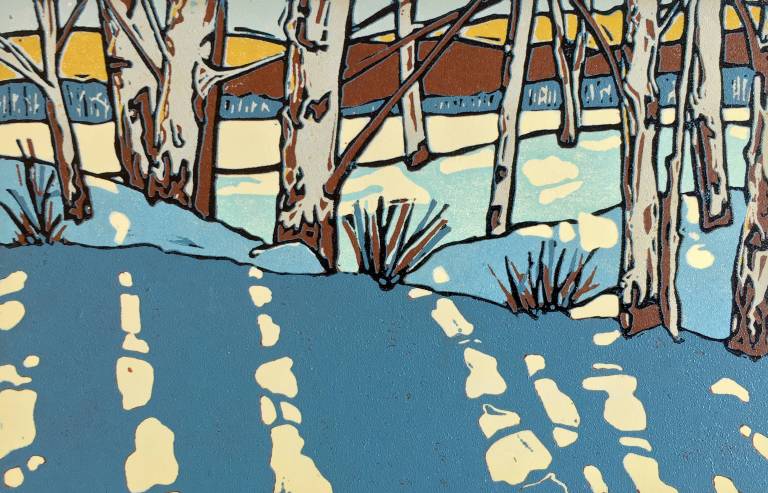 A Year in Trees - 
