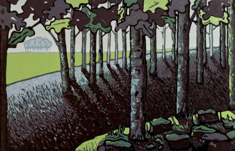 A Year in Trees - 