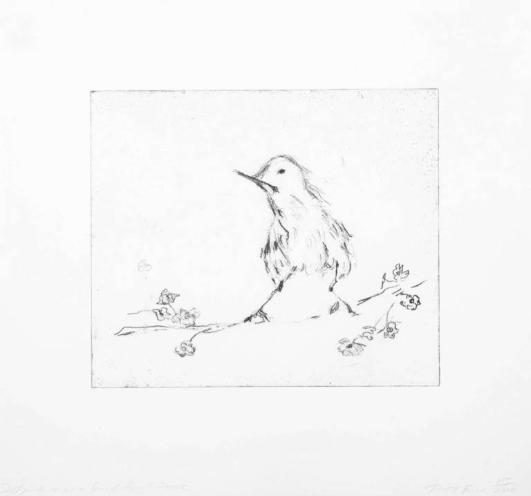 Self Portrait As A Small Bird - Tracey Emin