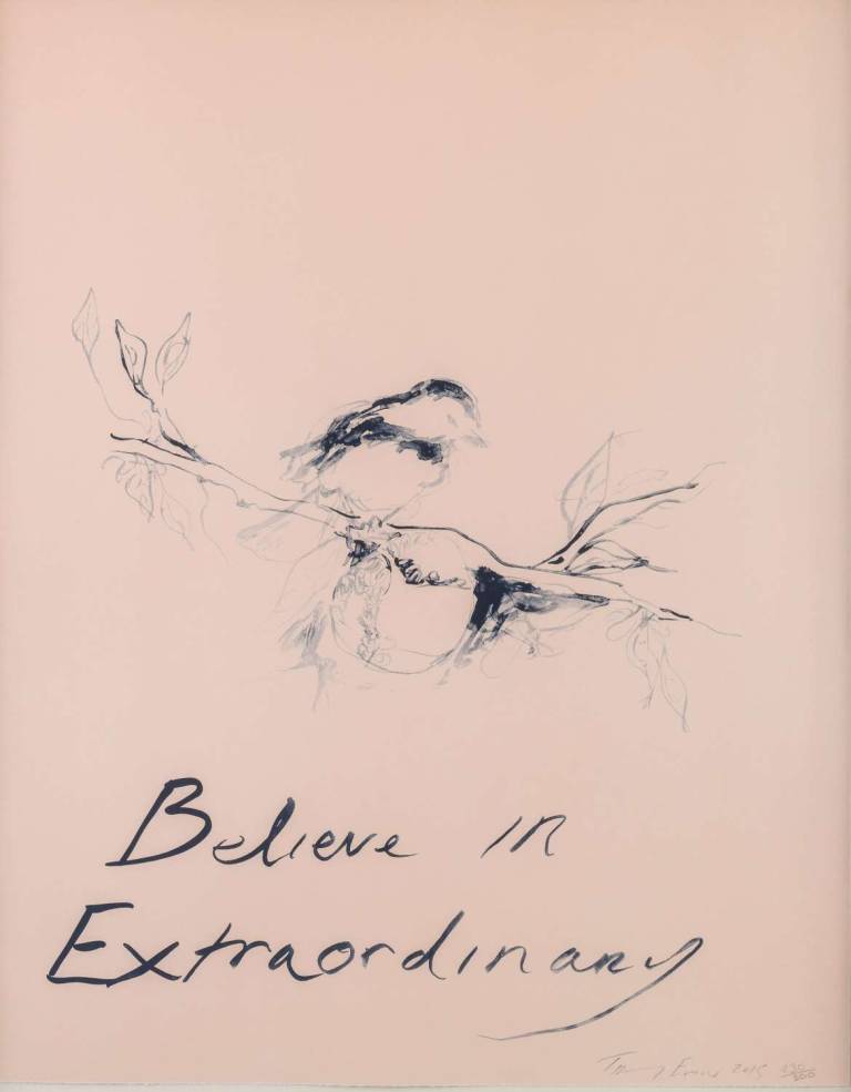Believe in Extraordinary - Tracey Emin