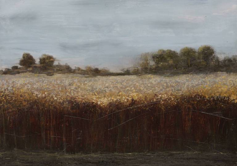 Reedbeds Near Irstead - Mandy Bonnett