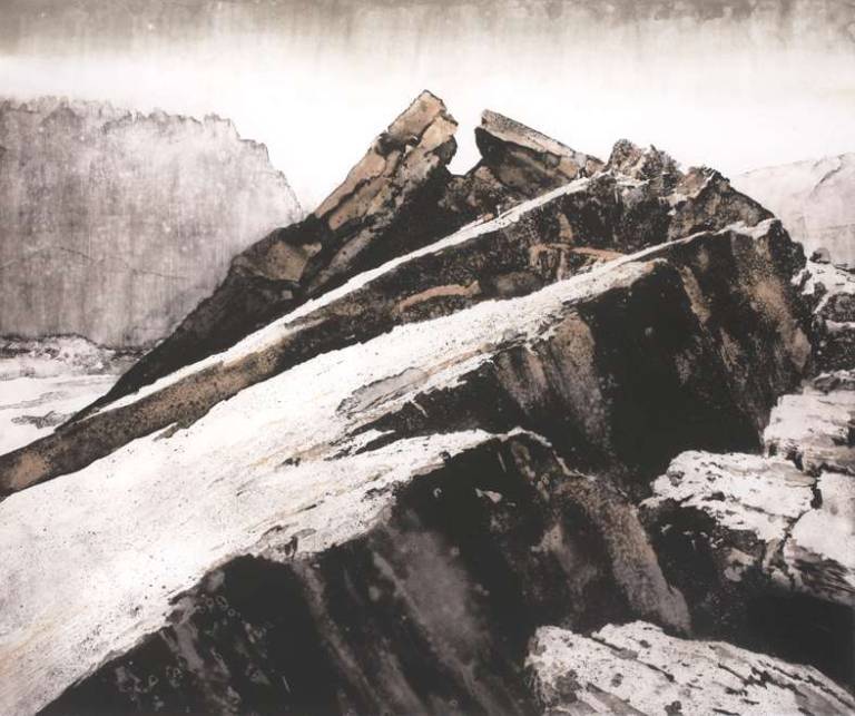 The Contemporary Art Society & the Laing Art Gallery - 