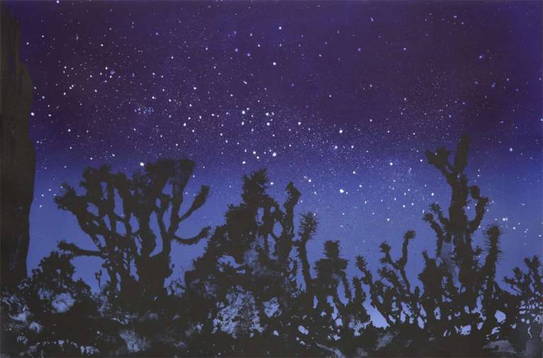 Mojave Desert Night - Emma Stibbon