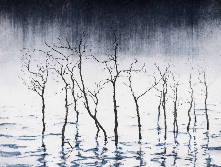 Flooded Trees - Emma Stibbon