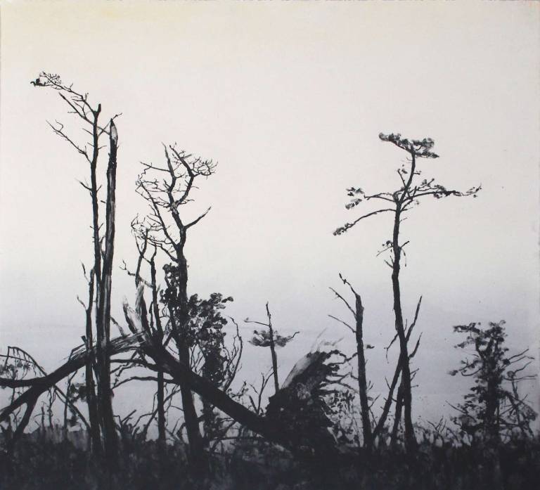 Storm Damage - Emma Stibbon