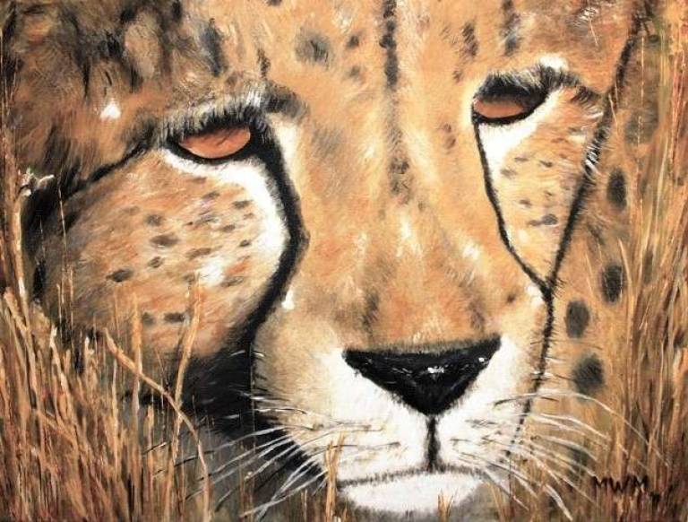 Cheetah - Mike Masino
