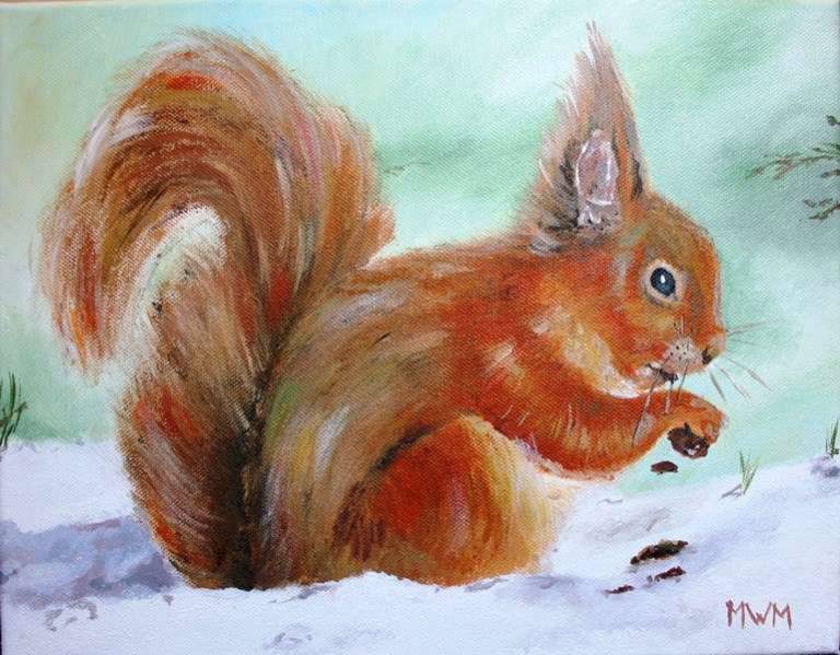 Red Squirrel - Mike Masino