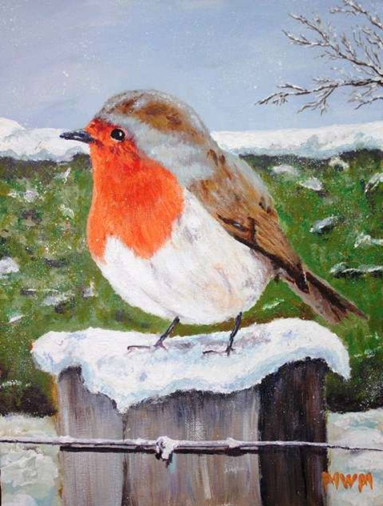 Robin - Mike Masino