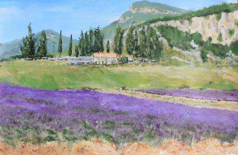 Lavender Fields - Mike Masino