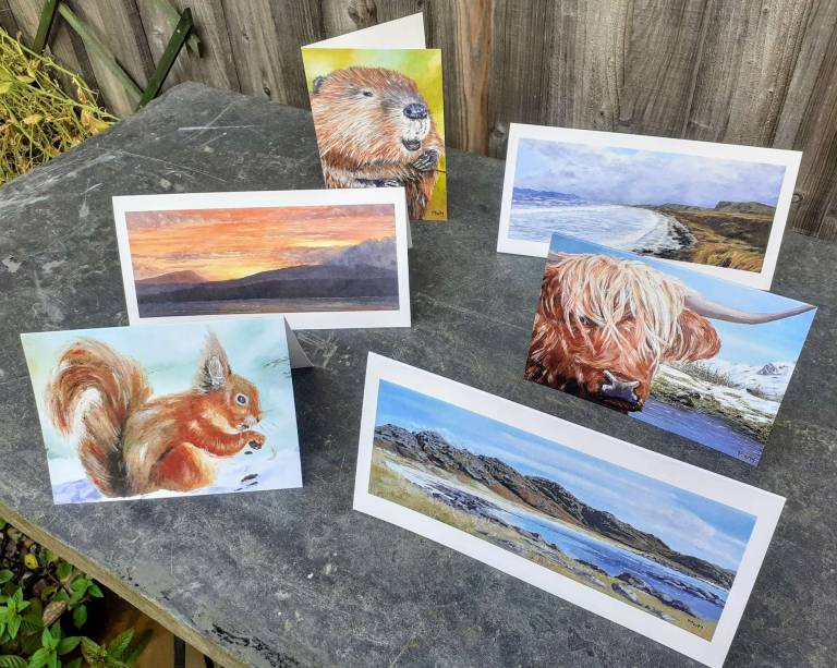Set of 6 Cards - Mike Masino