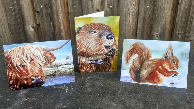 Set of 3 Wildlife Cards - Mike Masino