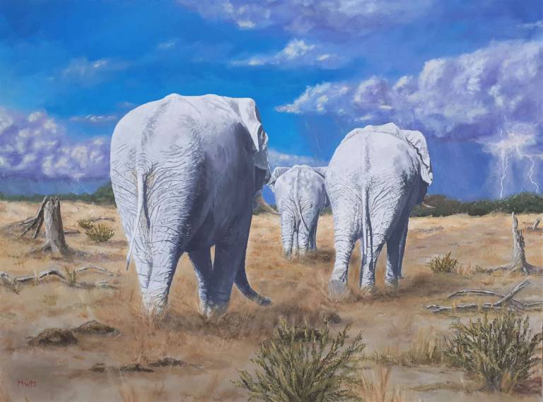 The End of the Drought - Mike Masino