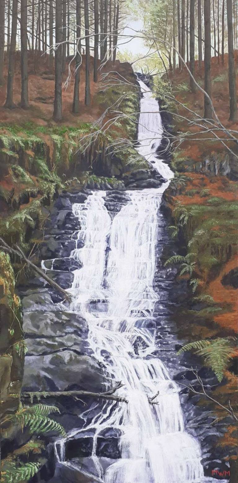 Forest Falls - Mike Masino