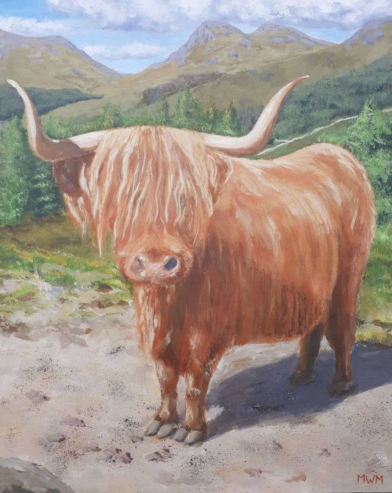 Hairy Coo - Mike Masino