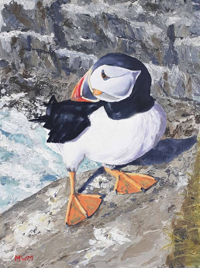 Puffin - Mike Masino