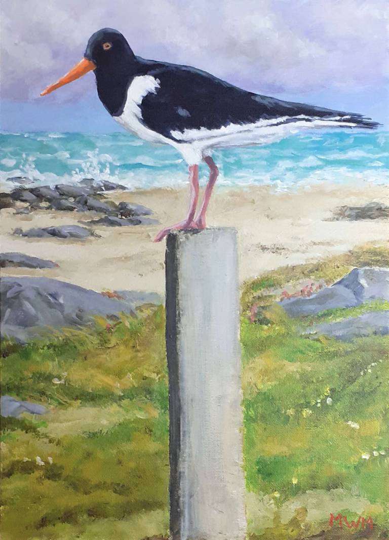 Oyster Catcher on Post - Mike Masino