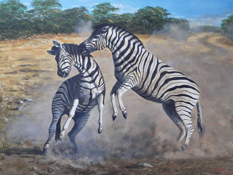 Battle Stripes - Mike Masino