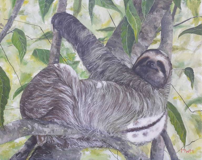 The Sloth - Mike Masino