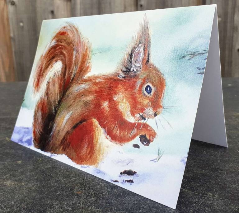 Set of 3 Wildlife Cards - Mike Masino