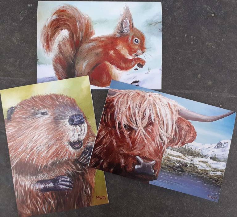 Set of 3 Wildlife Cards - Mike Masino