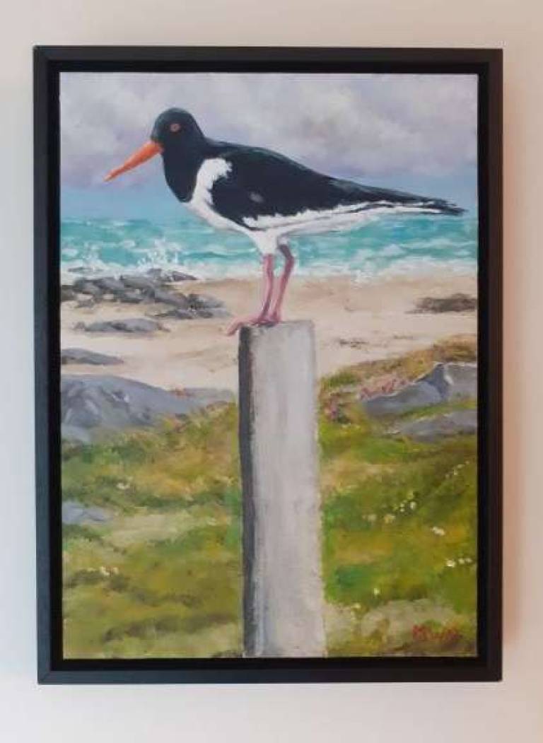 Oyster Catcher on Post - Mike Masino