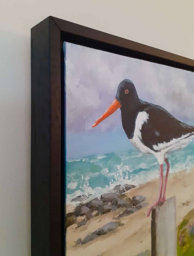 Oyster Catcher on Post - Mike Masino