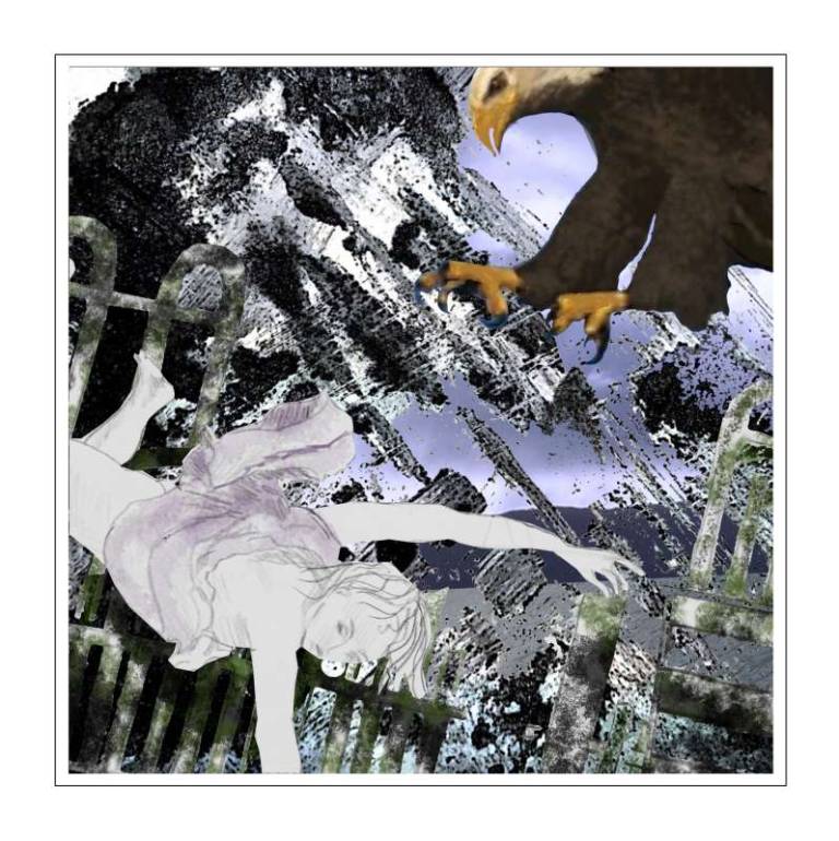 'Falling' or Flying series - Eagle  Falling 3/iv - Alistair Livingstone