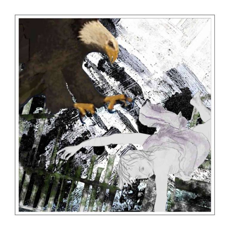 'Falling' or Flying series - Eagle  Falling 3/ii - Alistair Livingstone