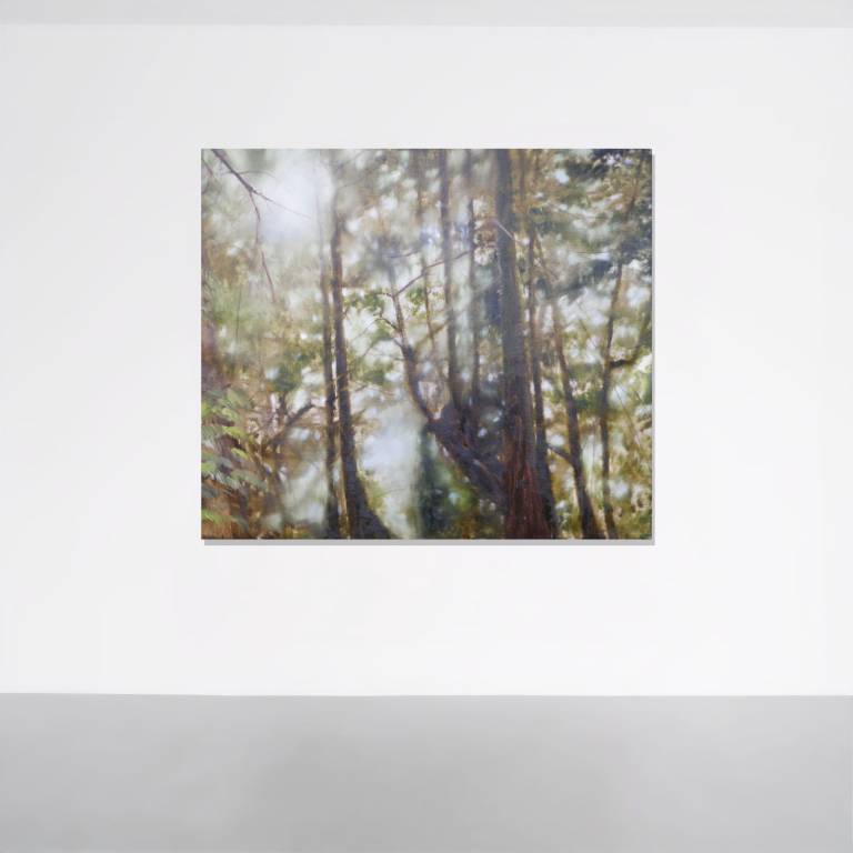 Four Seasons, A Year at Thorp Perrow Arboretum 2025 - 