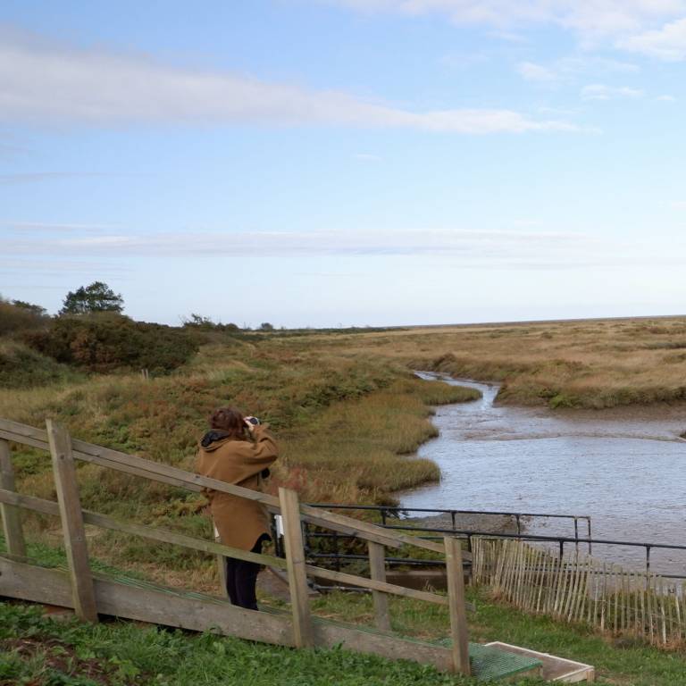 Introducing my latest project - Salt Marsh - 