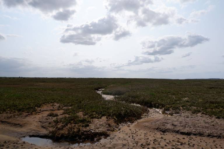 Introducing my latest project - Salt Marsh - 