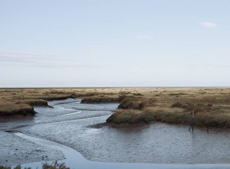 Introducing my latest project - Salt Marsh - 