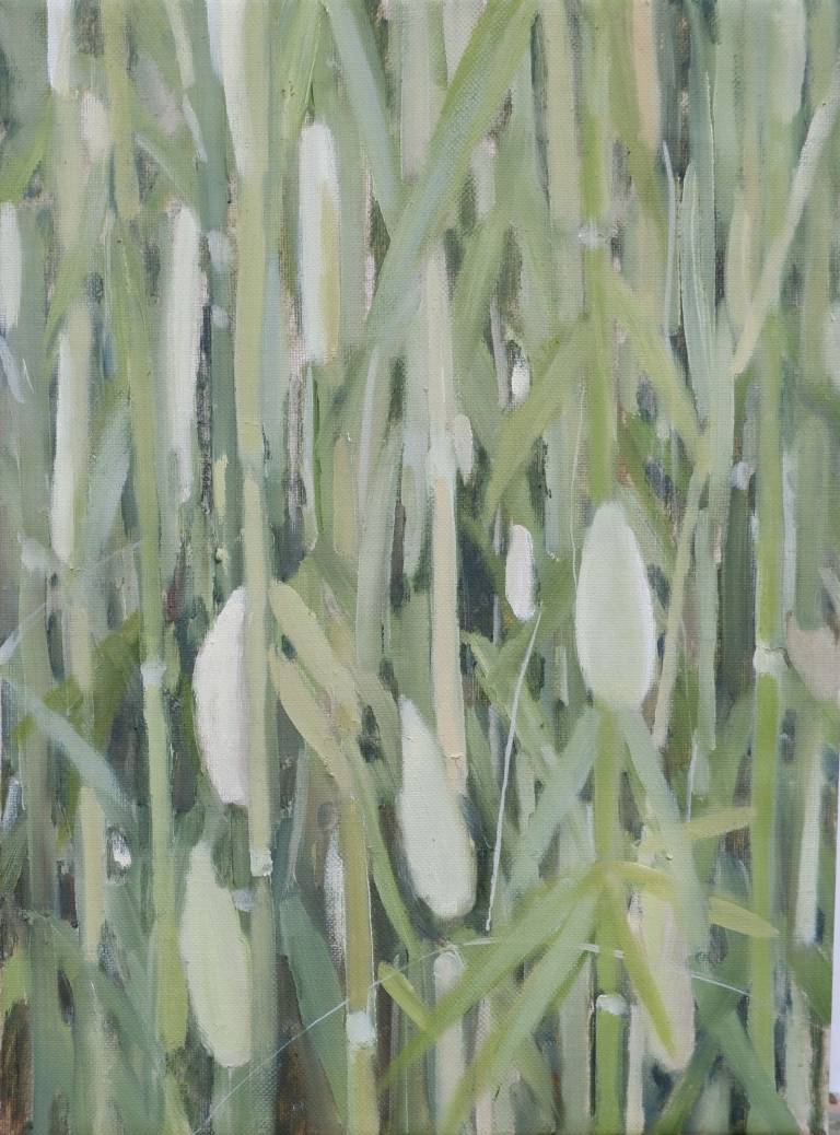 Bamboo - Rebecca Styles