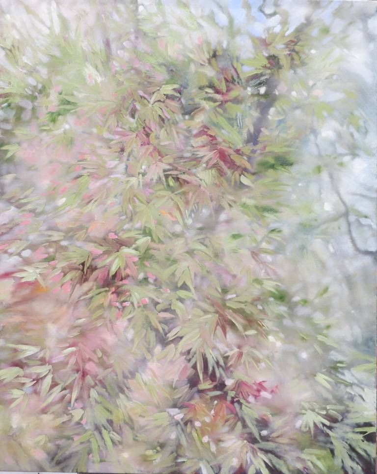 Japanese Maple - Rebecca Styles