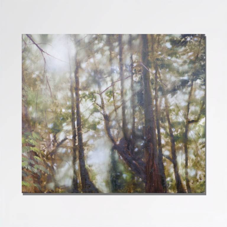 Forest Bathing 2025 - Rebecca Styles