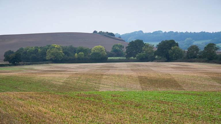 Hill Fort V - Daniel Goodwin
