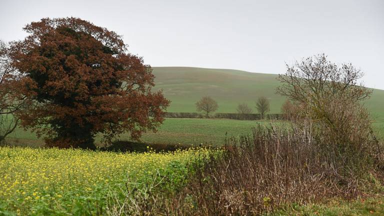 Hill Fort II - Daniel Goodwin