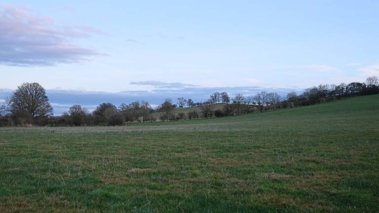 Hobb Hill - Daniel Goodwin