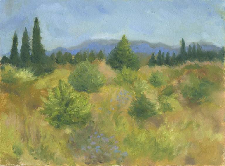 Across the garrigue, Languedoc - Sue Arnold