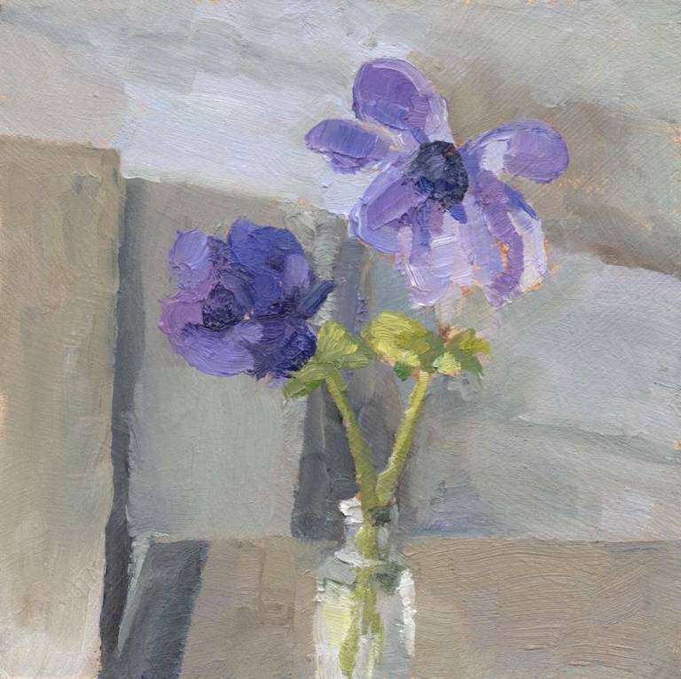 Anemone - Sue Arnold