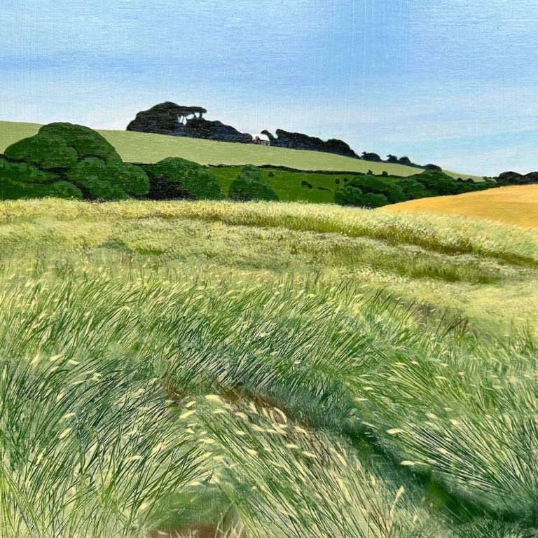 Porthsaxon Field View - Karen Hemsley-Biggs