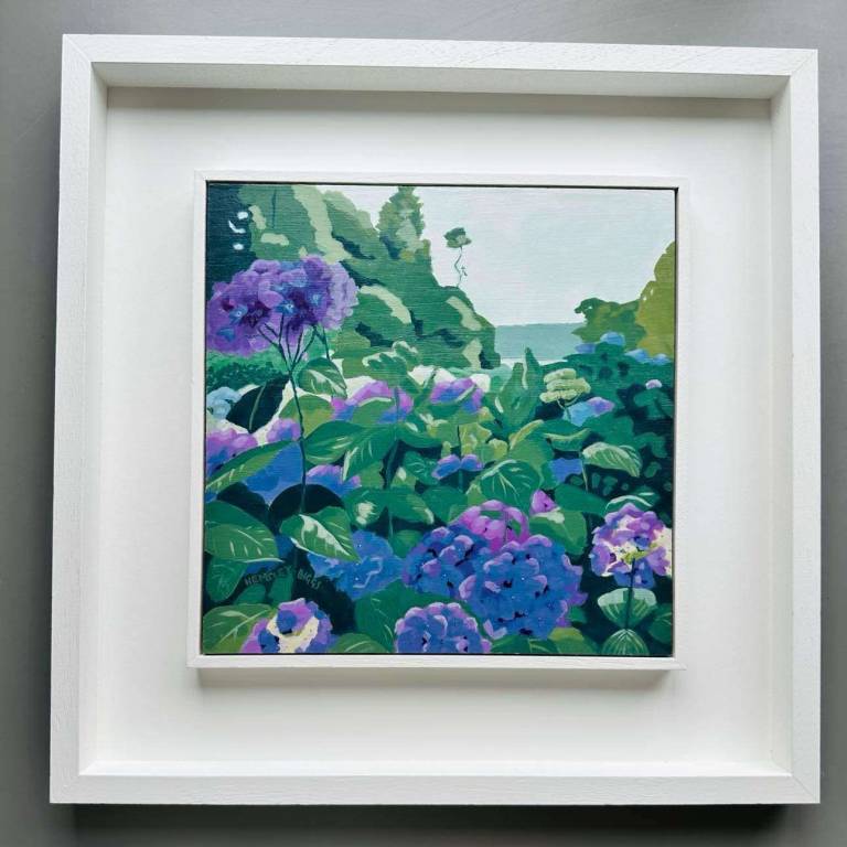 Hydrangeas at Trebah - Karen Hemsley-Biggs