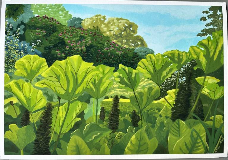 Gunnera Giclee print - Karen Hemsley-Biggs